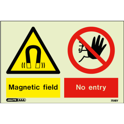 Magnetic Field No Entry