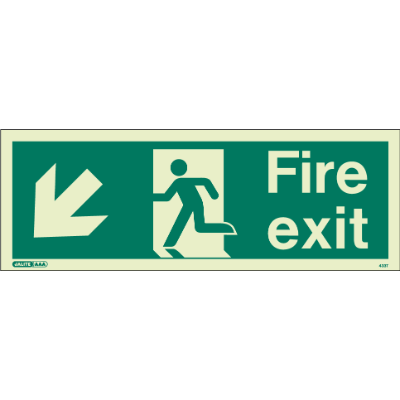 Fire Exit Down Left Arrow