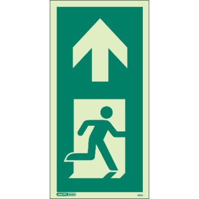Way Guidance Up Arrow Portrait